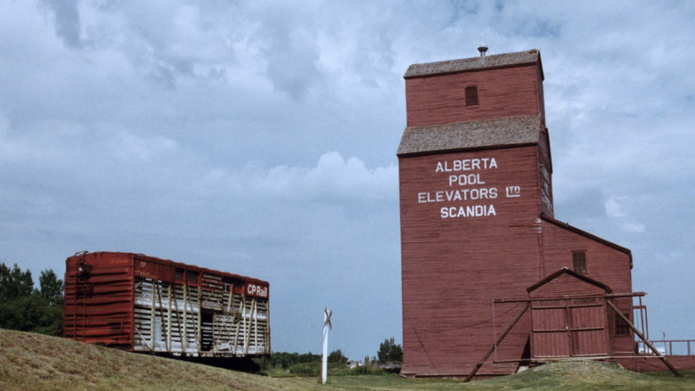 кадр из фильма Death of a Skyline