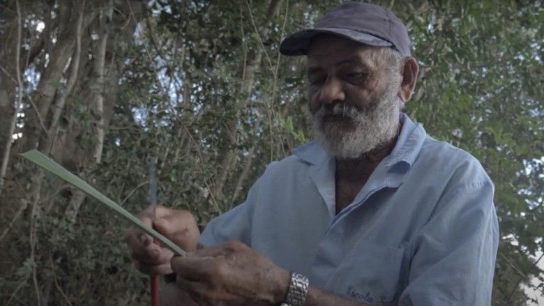 кадр из фильма Diálogos Indígenas do Nosso Tempo