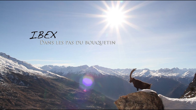 кадр из фильма Ibex, dans les pas du bouquetin