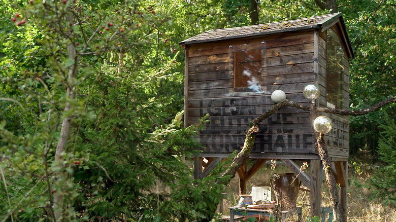 кадр из фильма Go Clara Go