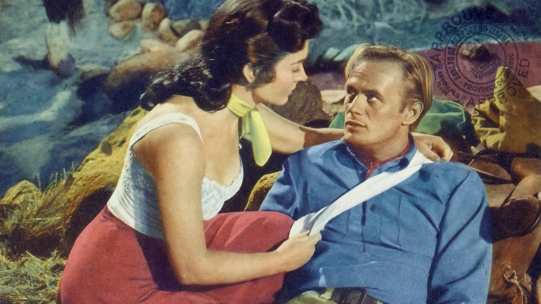 Ответный удар