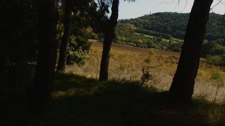 кадр из фильма Dove Non Siamo Stati