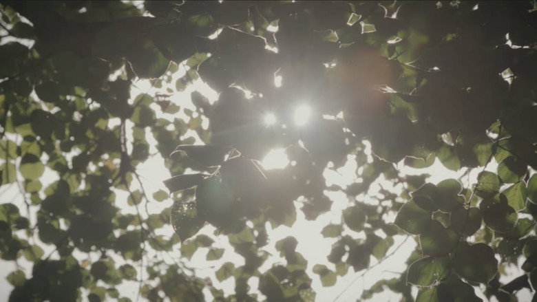 кадр из фильма Lucky Charms