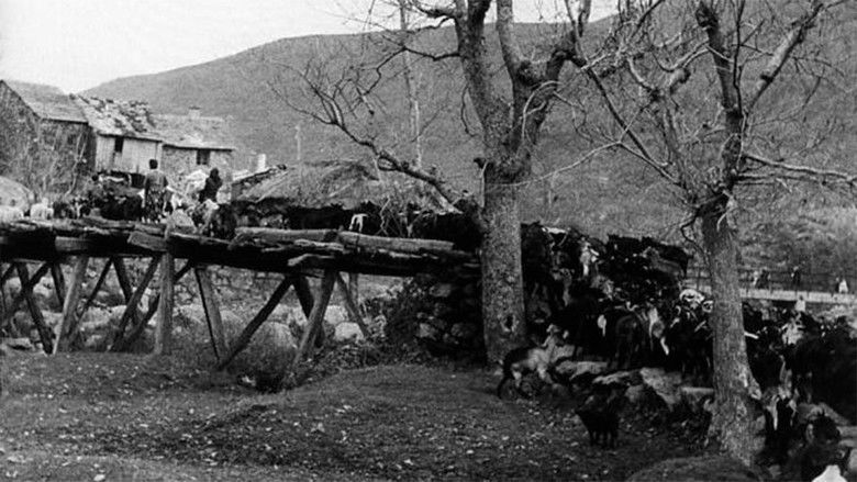 кадр из фильма Carta de Sanabria