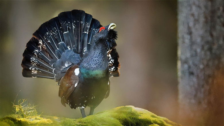 кадр из фильма An den Ufern der Loisach