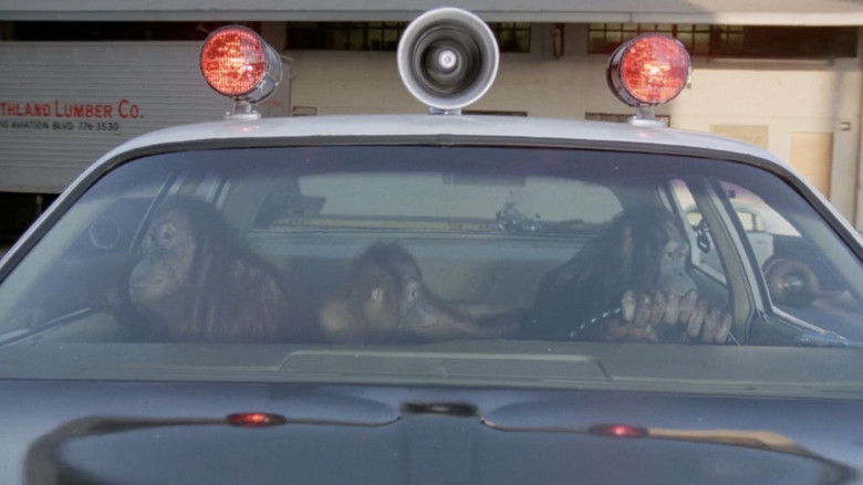 Обезьянник