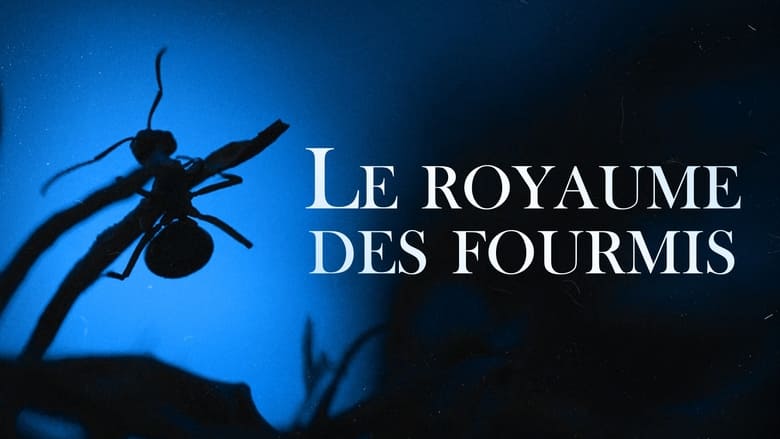 кадр из фильма Le Royaume des fourmis