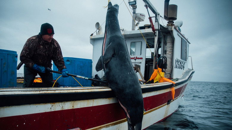 кадр из фильма Chasseurs de phoques