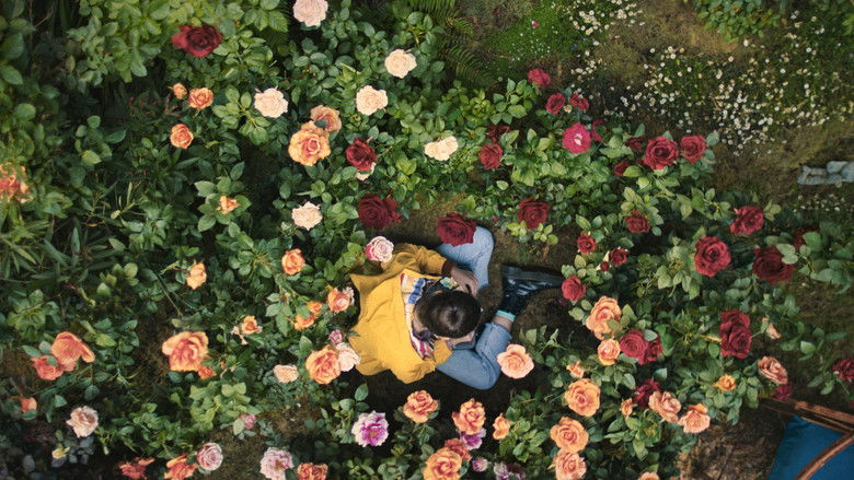 кадр из фильма Небо повсюду