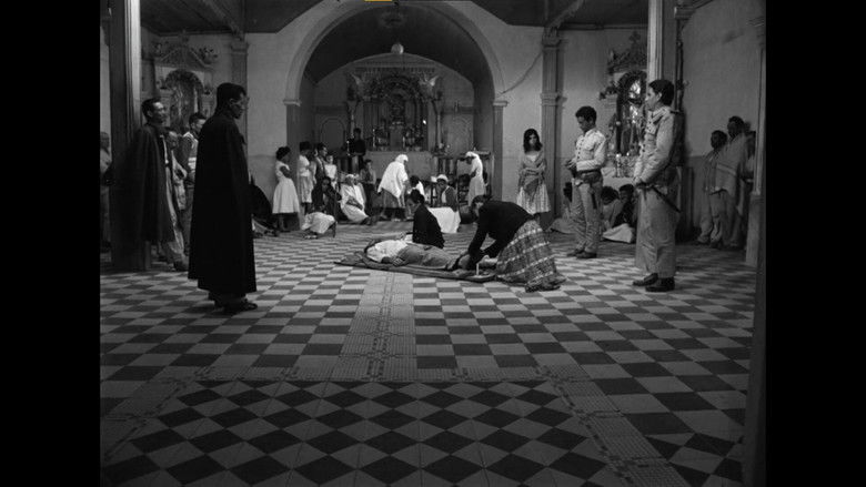 кадр из фильма Ружья