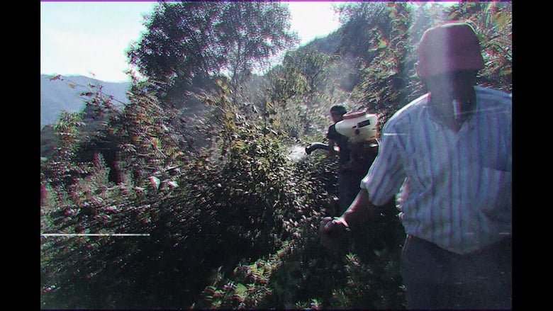 кадр из фильма Pestisit: Tarımsal İlaçlama