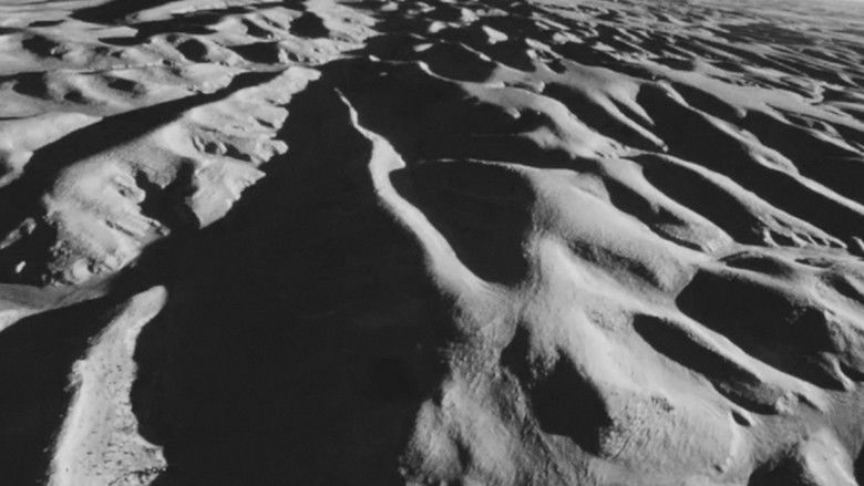 кадр из фильма Street Film Part IV