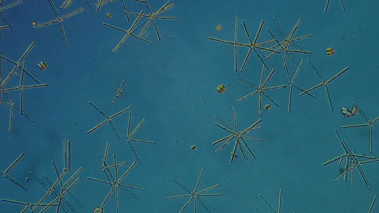 кадр из фильма La quimera de Yemayá