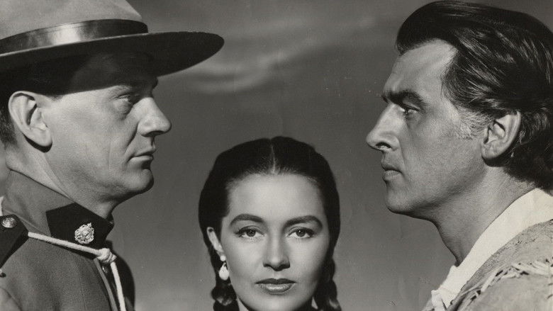 кадр из фильма The Wild North