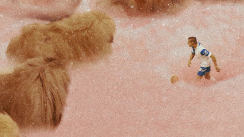 кадр из фильма Диамантино