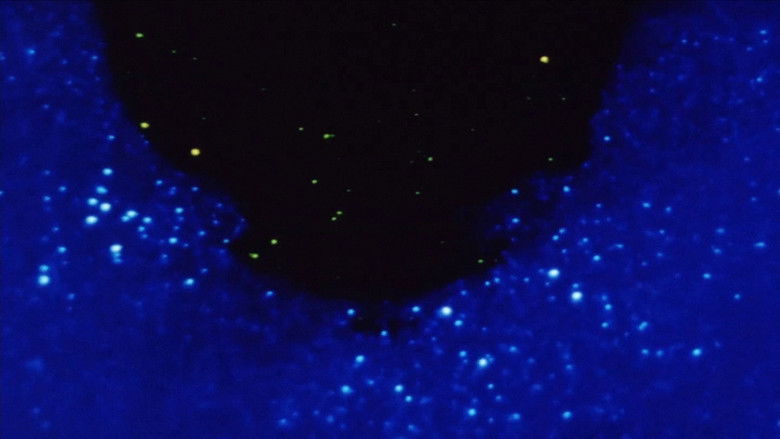 кадр из фильма Морфология сна