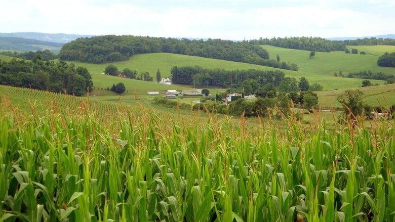 Le Monde selon Monsanto