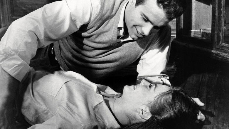 кадр из фильма Великолепие в траве