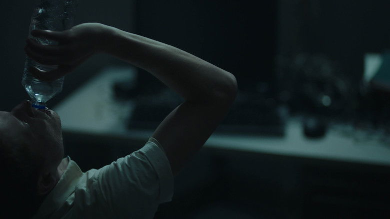 2017 Sundance Film Festival Short Film Tour