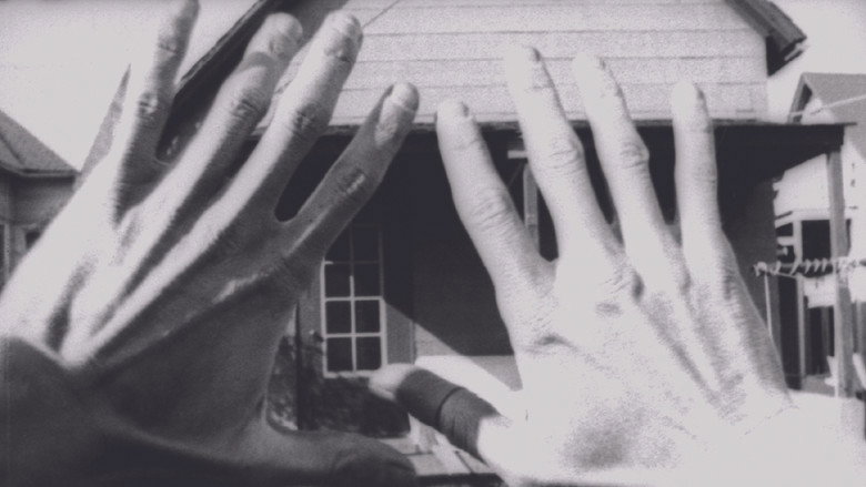 кадр из фильма Cats-Snow-Magic