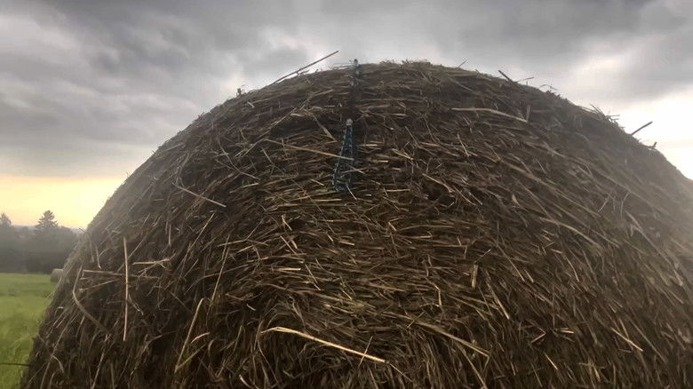 кадр из фильма Psychical Pearls