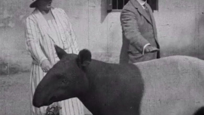 Indian Wildlife Park