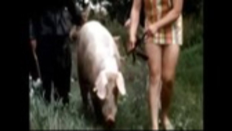 кадр из фильма The Dark Side of Porn: The Real Animal Farm