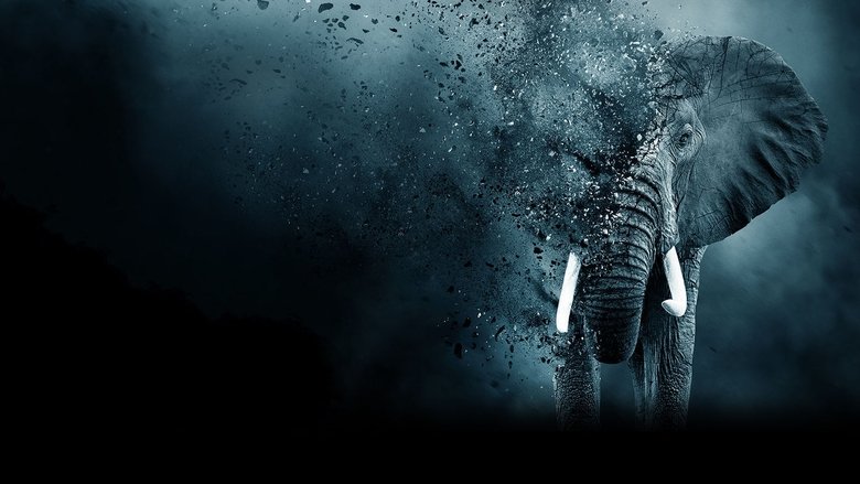 кадр из фильма The Ivory Game