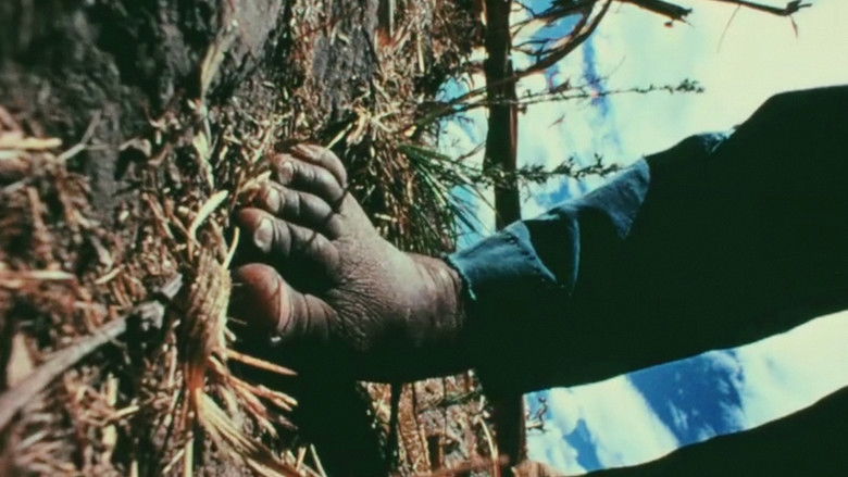 кадр из фильма Street Film Part IV