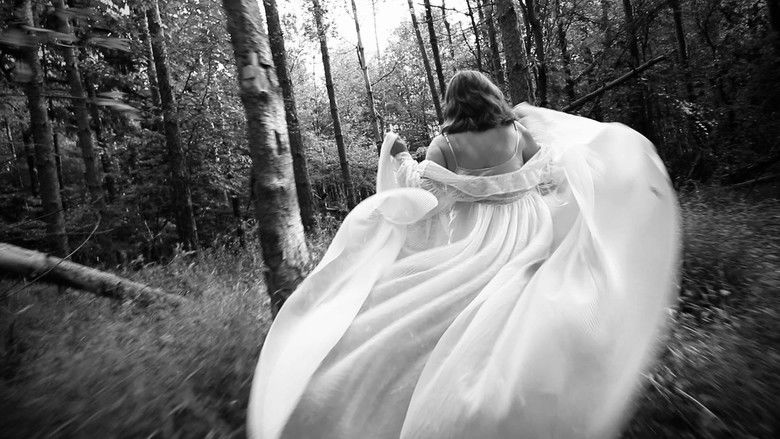 кадр из фильма Exvallis