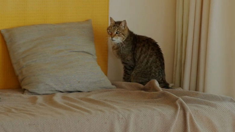 кадр из фильма Où en êtes-vous, Jean-Marie Straub ?