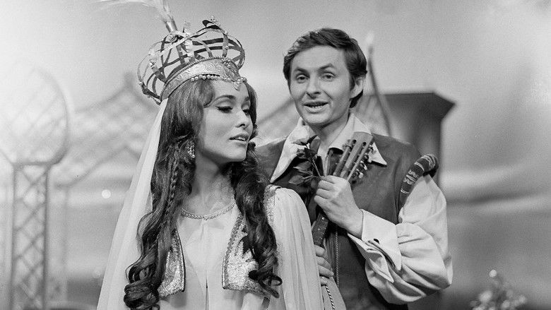 кадр из фильма O hradu Zásadce a turecké vojně