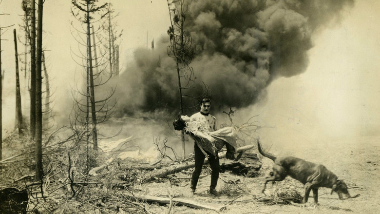 кадр из фильма Teeth