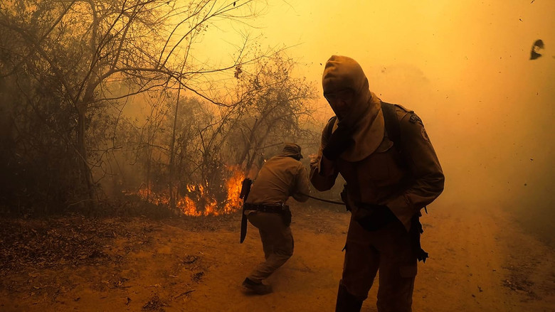 кадр из фильма Sinfonia da Sobrevivência