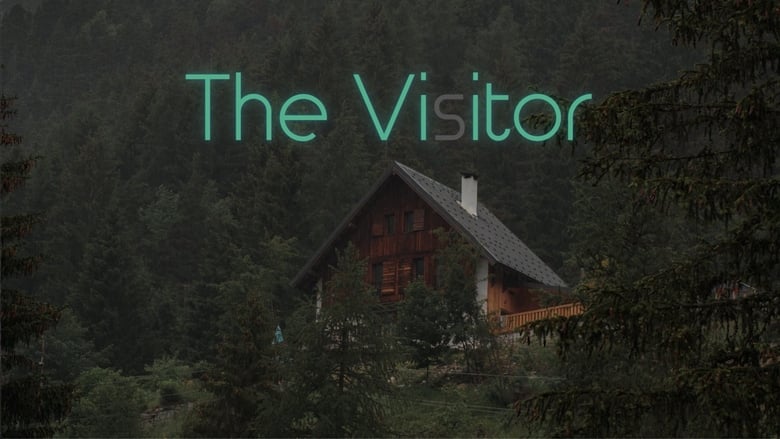 кадр из фильма The Visitor
