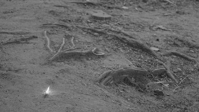 кадр из фильма Ouro negro