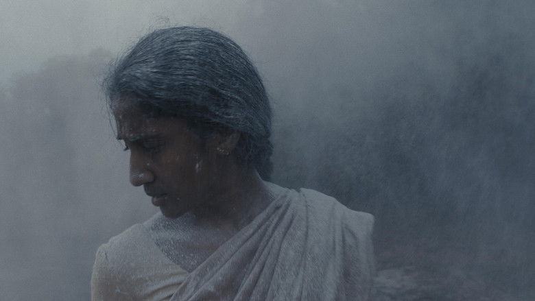 кадр из фильма නොමියෙන මතකය