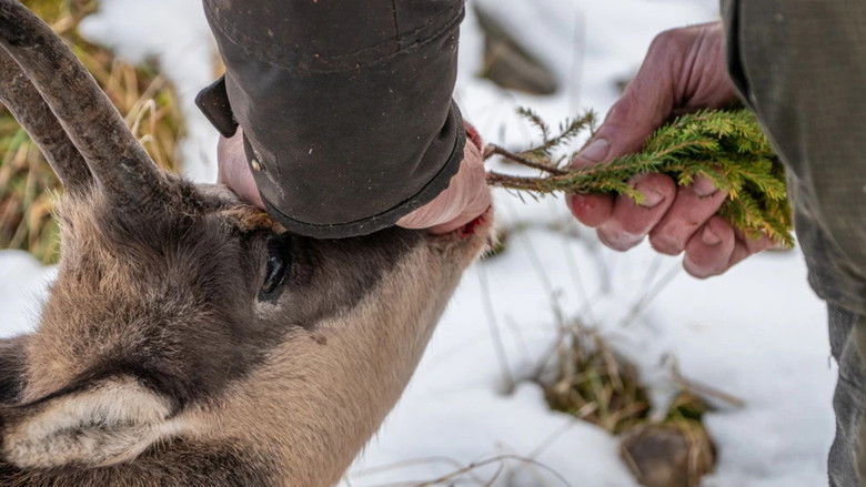 кадр из фильма Wild - Jäger und Sammler