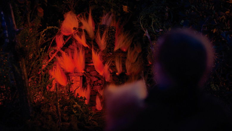 кадр из фильма La pena no duerme de noche