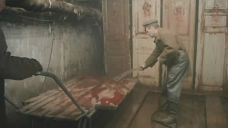 кадр из фильма Чекист