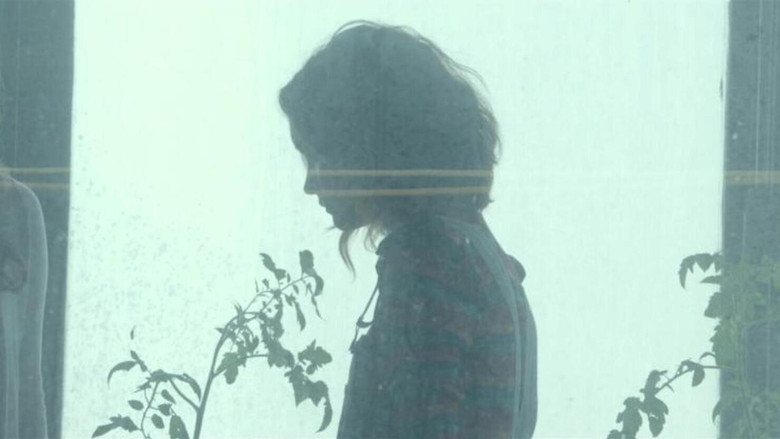 кадр из фильма Я, Эрл и умирающая девушка