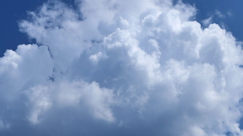 кадр из фильма Phobophobia