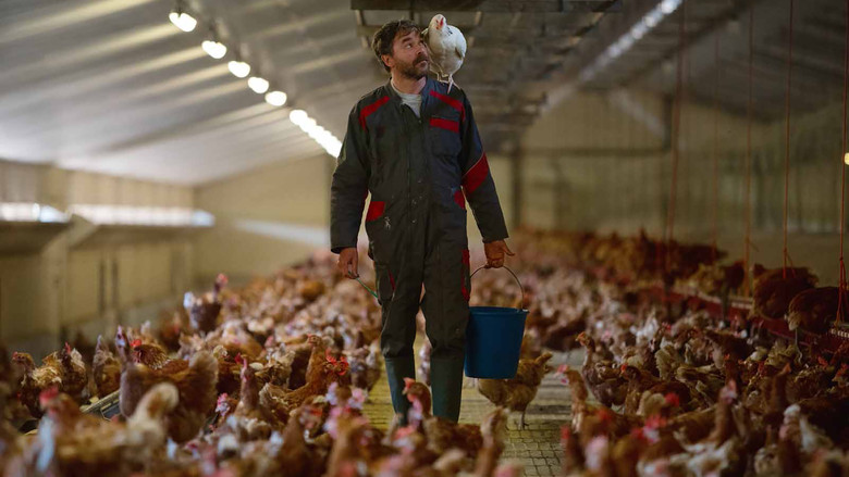 кадр из фильма Роксана