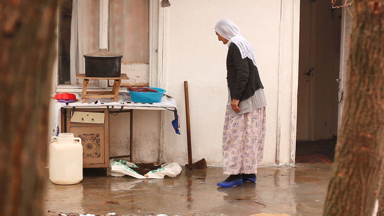 кадр из фильма Mirov