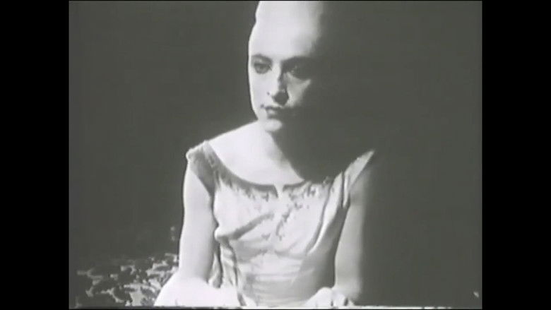 кадр из фильма FRANZ ZWARTJES : 