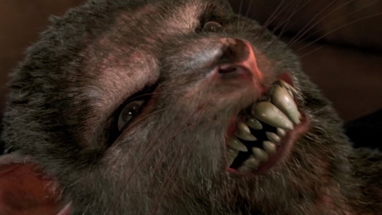 кадр из фильма Ratpocalypse