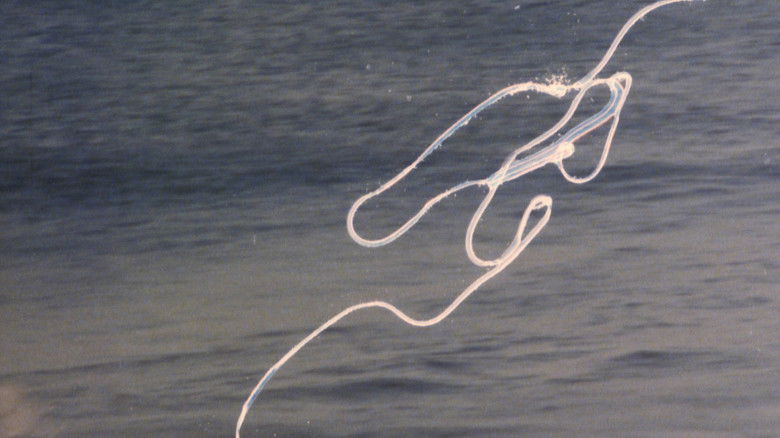 кадр из фильма Transetropical