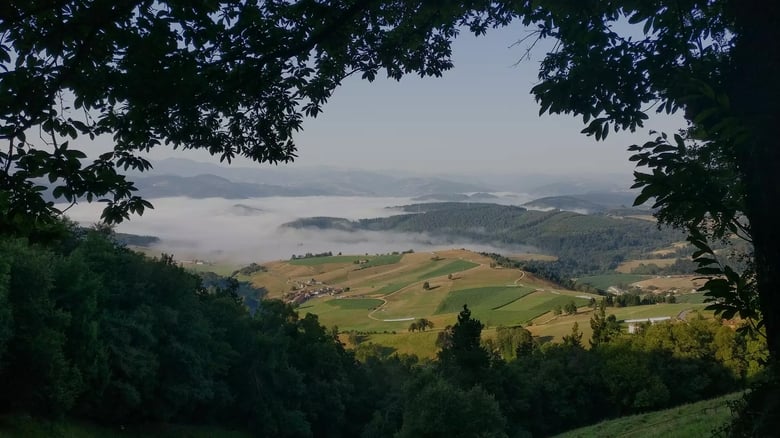 Almar - Der Ruf des Jakobsweges