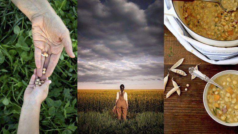 кадр из фильма Modified