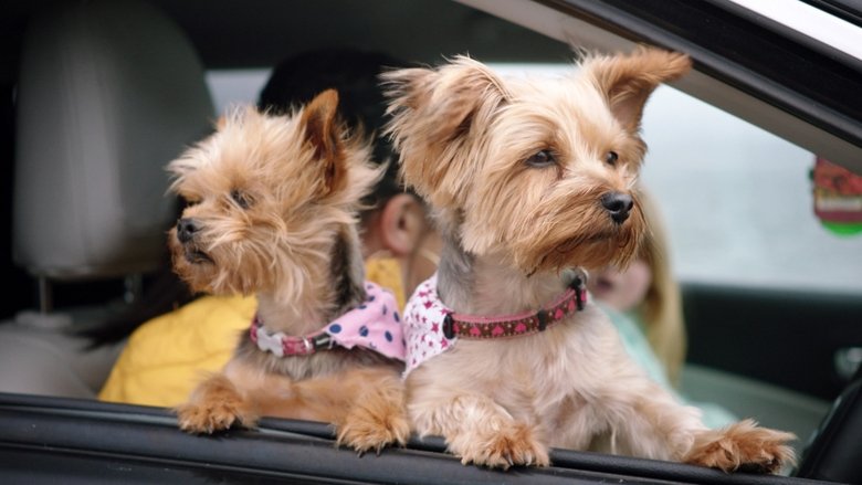 кадр из фильма Four Seasons in a Day